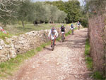 gal/2010/03 - La Via delle Miniere 2010/Al podere Quato/_thb_DSCF0735-01.jpg